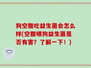 狗空腹吃益生菌会怎么样(空腹喂狗益生菌是否有害？了解一下！)