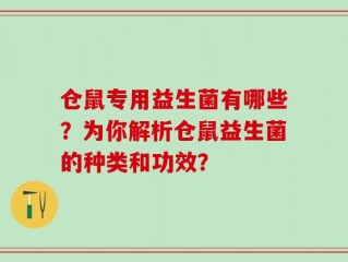 仓鼠专用益生菌有哪些？为你解析仓鼠益生菌的种类和功效？