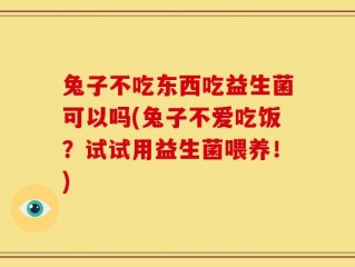 兔子不吃东西吃益生菌可以吗(兔子不爱吃饭？试试用益生菌喂养！)