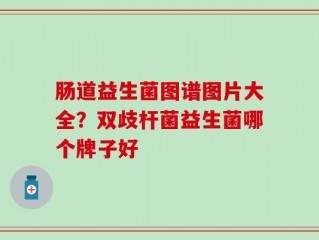 肠道益生菌图谱图片大全？双歧杆菌益生菌哪个牌子好