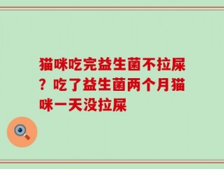 猫咪吃完益生菌不拉屎？吃了益生菌两个月猫咪一天没拉屎