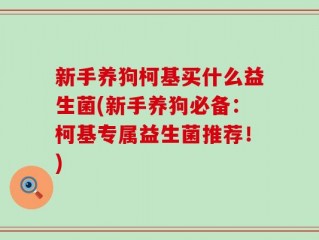 新手养狗柯基买什么益生菌(新手养狗必备：柯基专属益生菌推荐！)