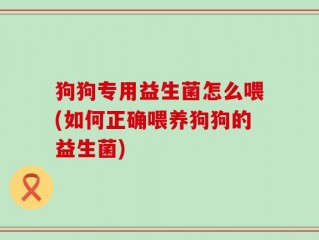 狗狗专用益生菌怎么喂(如何正确喂养狗狗的益生菌)