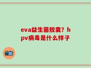 eva益生菌胶囊？hpv病毒是什么样子