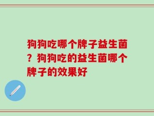 狗狗吃哪个牌子益生菌？狗狗吃的益生菌哪个牌子的效果好