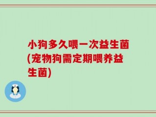 小狗多久喂一次益生菌(宠物狗需定期喂养益生菌)