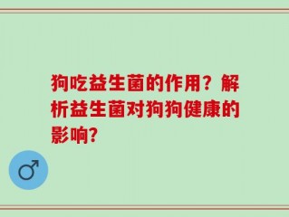 狗吃益生菌的作用？解析益生菌对狗狗健康的影响？