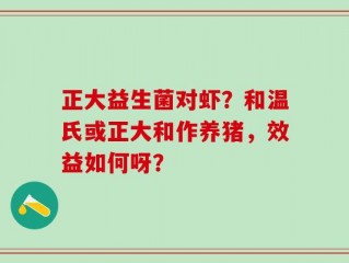 正大益生菌对虾？和温氏或正大和作养猪，效益如何呀？