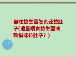 猫吃益生菌怎么还拉肚子(适量喂食益生菌或致猫咪拉肚子？)