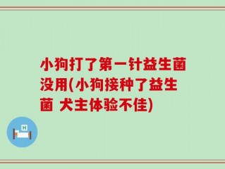 小狗打了第一针益生菌没用(小狗接种了益生菌 犬主体验不佳)