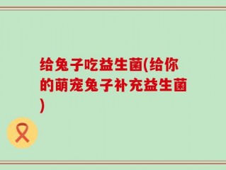 给兔子吃益生菌(给你的萌宠兔子补充益生菌)