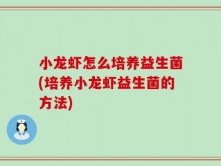 小龙虾怎么培养益生菌(培养小龙虾益生菌的方法)