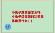小兔子益生菌怎么样(小兔子益生菌的功效和作用是什么？)