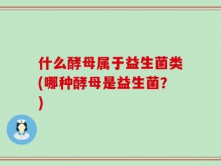 什么酵母属于益生菌类(哪种酵母是益生菌？)