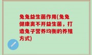 兔兔益生菌作用(兔兔健康离不开益生菌，打造兔子营养均衡的养殖方式)