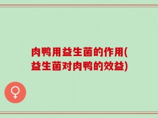 肉鸭用益生菌的作用(益生菌对肉鸭的效益)