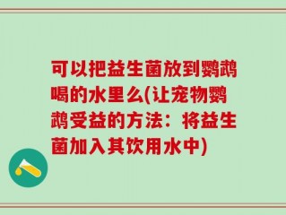 可以把益生菌放到鹦鹉喝的水里么(让宠物鹦鹉受益的方法：将益生菌加入其饮用水中)