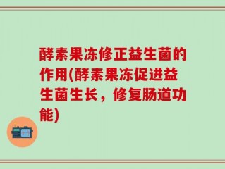 酵素果冻修正益生菌的作用(酵素果冻促进益生菌生长，修复肠道功能)
