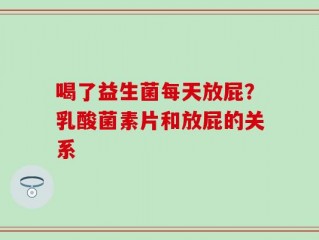 喝了益生菌每天放屁？乳酸菌素片和放屁的关系