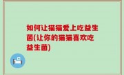 如何让猫猫爱上吃益生菌(让你的猫猫喜欢吃益生菌)