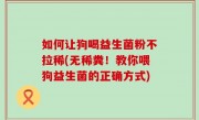 如何让狗喝益生菌粉不拉稀(无稀粪！教你喂狗益生菌的正确方式)