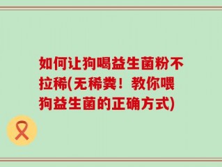 如何让狗喝益生菌粉不拉稀(无稀粪！教你喂狗益生菌的正确方式)
