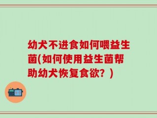 幼犬不进食如何喂益生菌(如何使用益生菌帮助幼犬恢复食欲？)