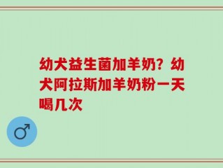 幼犬益生菌加羊奶？幼犬阿拉斯加羊奶粉一天喝几次