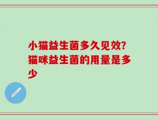 小猫益生菌多久见效？猫咪益生菌的用量是多少