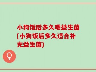 小狗饭后多久喂益生菌(小狗饭后多久适合补充益生菌)