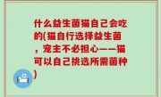 什么益生菌猫自己会吃的(猫自行选择益生菌，宠主不必担心——猫可以自己挑选所需菌种)