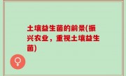 土壤益生菌的前景(振兴农业，重视土壤益生菌)