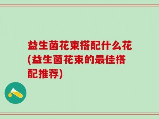 益生菌花束搭配什么花(益生菌花束的最佳搭配推荐)