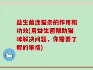 益生菌涂猫条的作用和功效(用益生菌帮助猫咪解决问题，你需要了解的事情)