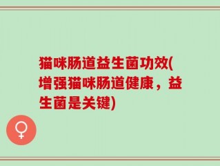 猫咪肠道益生菌功效(增强猫咪肠道健康，益生菌是关键)