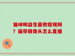 猫咪喝益生菌教程视频？猫带摄像头怎么直播