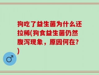 狗吃了益生菌为什么还拉稀(狗食益生菌仍然腹泻现象，原因何在？)