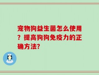 宠物狗益生菌怎么使用？提高狗狗免疫力的正确方法？