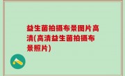 益生菌拍摄布景图片高清(高清益生菌拍摄布景照片)