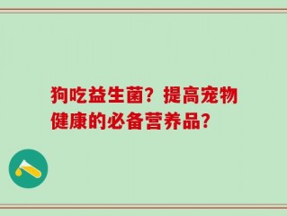狗吃益生菌？提高宠物健康的必备营养品？