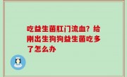 吃益生菌肛门流血？给刚出生狗狗益生菌吃多了怎么办