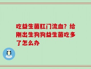 吃益生菌肛门流血？给刚出生狗狗益生菌吃多了怎么办