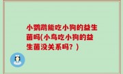小鹦鹉能吃小狗的益生菌吗(小鸟吃小狗的益生菌没关系吗？)