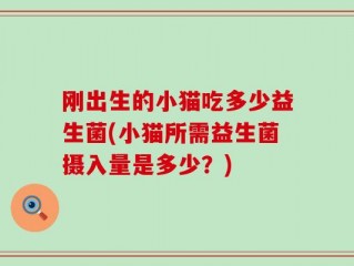 刚出生的小猫吃多少益生菌(小猫所需益生菌摄入量是多少？)