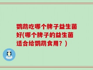 鹦鹉吃哪个牌子益生菌好(哪个牌子的益生菌适合给鹦鹉食用？)