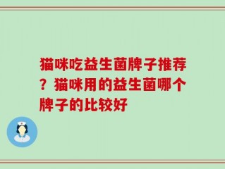 猫咪吃益生菌牌子推荐？猫咪用的益生菌哪个牌子的比较好