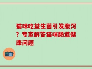 猫咪吃益生菌引发腹泻？专家解答猫咪肠道健康问题