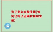 狗子怎么吃益生菌(如何让狗子正确食用益生菌)