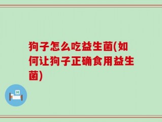 狗子怎么吃益生菌(如何让狗子正确食用益生菌)