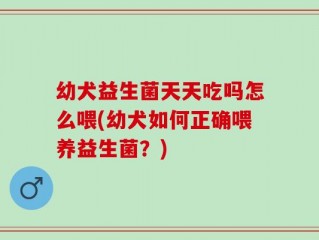 幼犬益生菌天天吃吗怎么喂(幼犬如何正确喂养益生菌？)